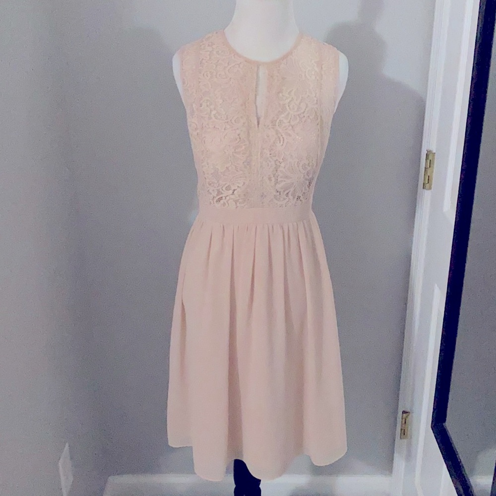 Medium Black Collection Dress in Blush